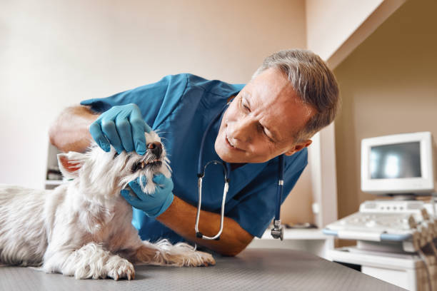Best Weekend Emergency Dentist in Eufaula, AL