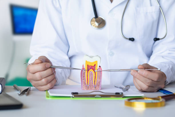 Best Emergency Dental Care for Broken or Chipped Teeth in Eufaula, AL